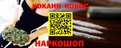 крисы Пенза