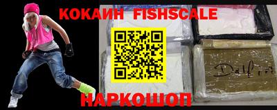 крисы Пенза