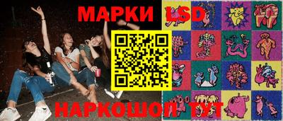 крисы Пенза