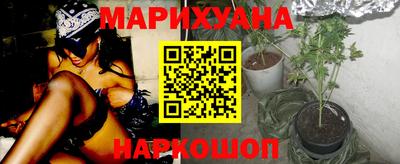 крисы Пенза