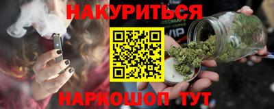 крисы Пенза
