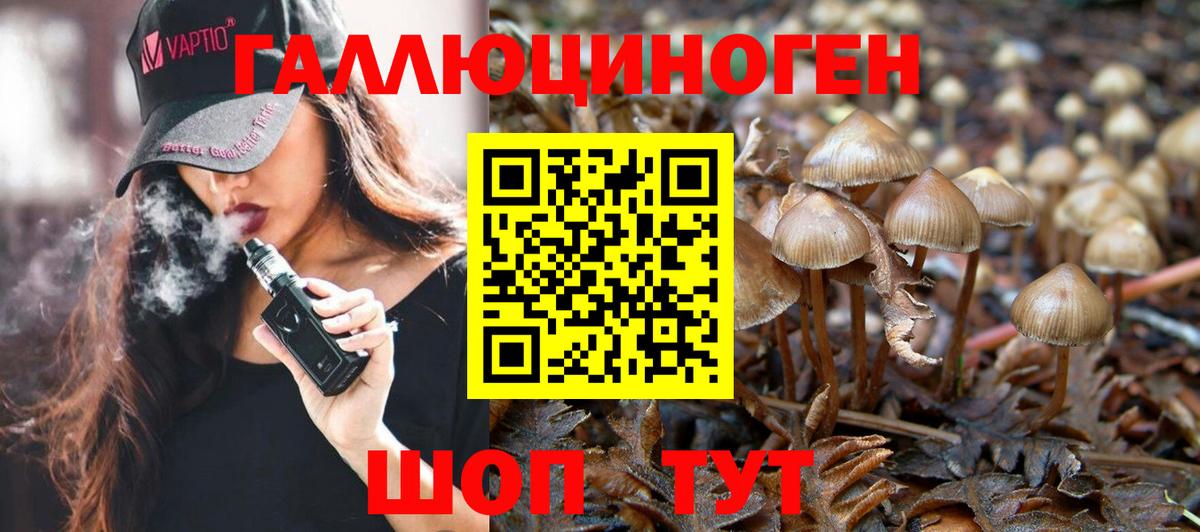 Сафоново  Галлюциногенные грибы GOLDEN TEACHER  Вход с VPN  Псилоцибиновые грибы Cubensis 