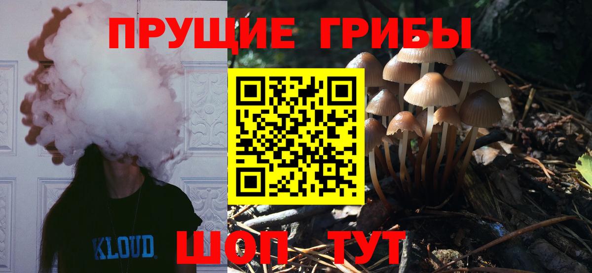 Галлюциногенные грибы GOLDEN TEACHER Сафоново